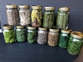 Jess_FlockingJars_7-2020 (1)